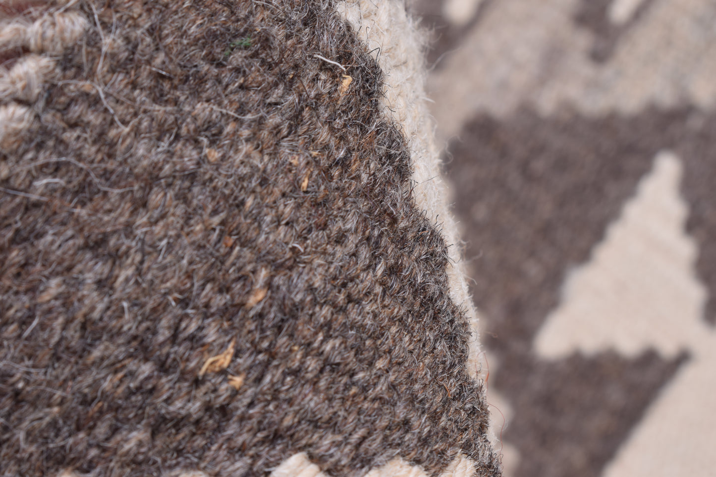 Agra Runner
