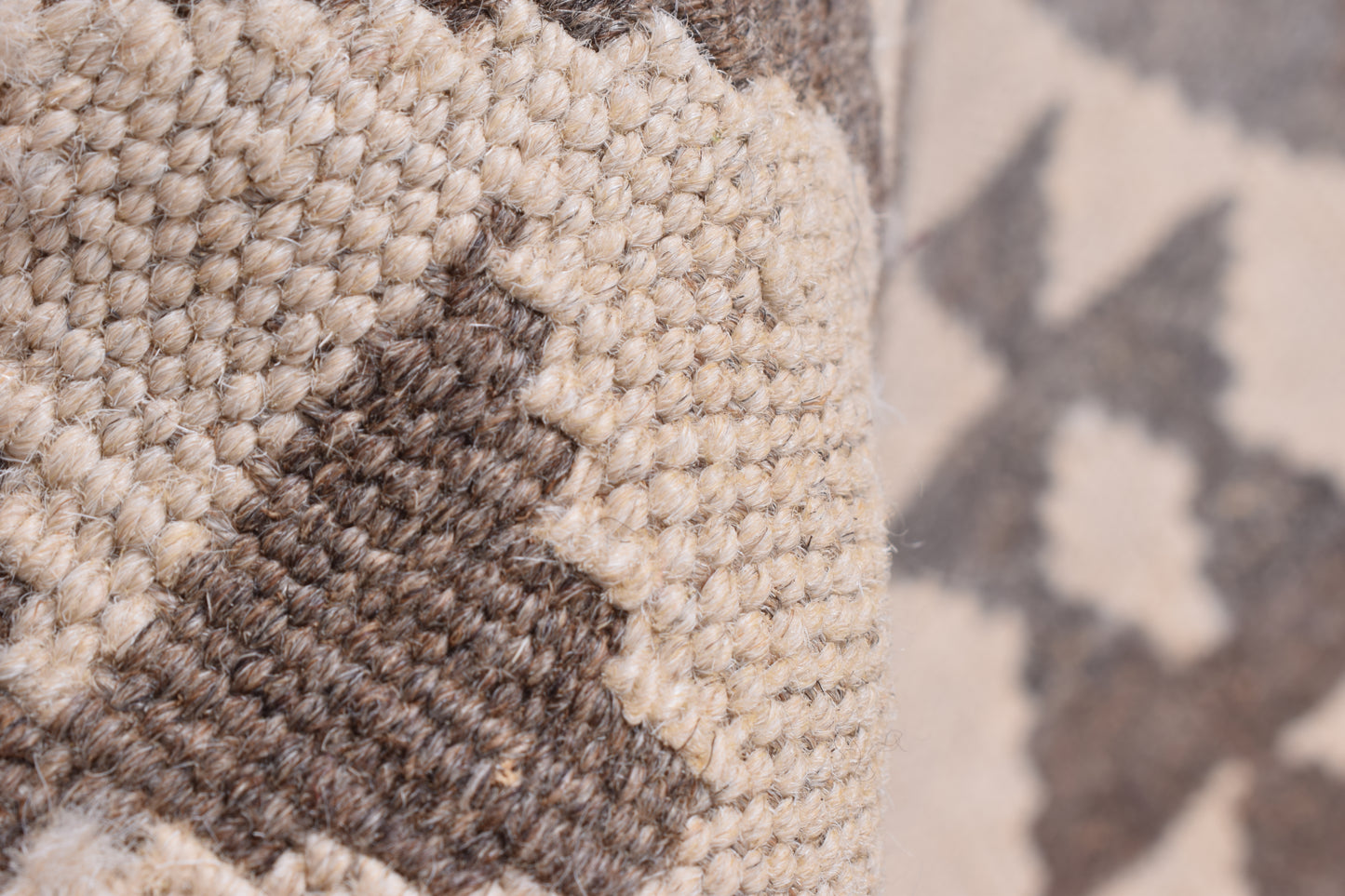 Agra Runner