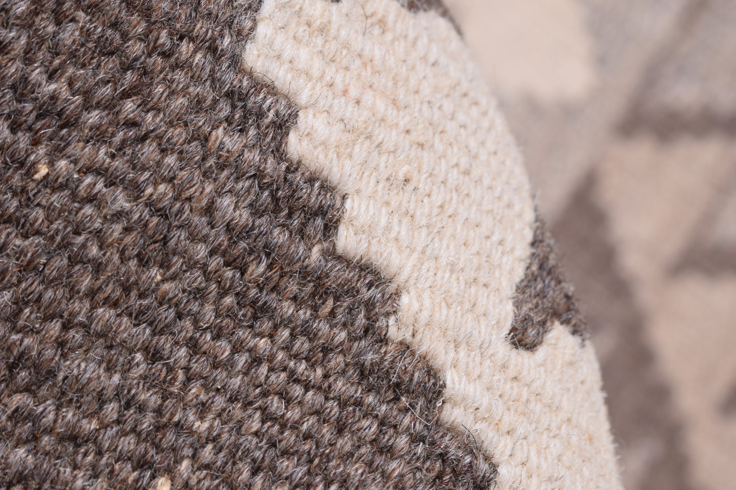 Agra Runner