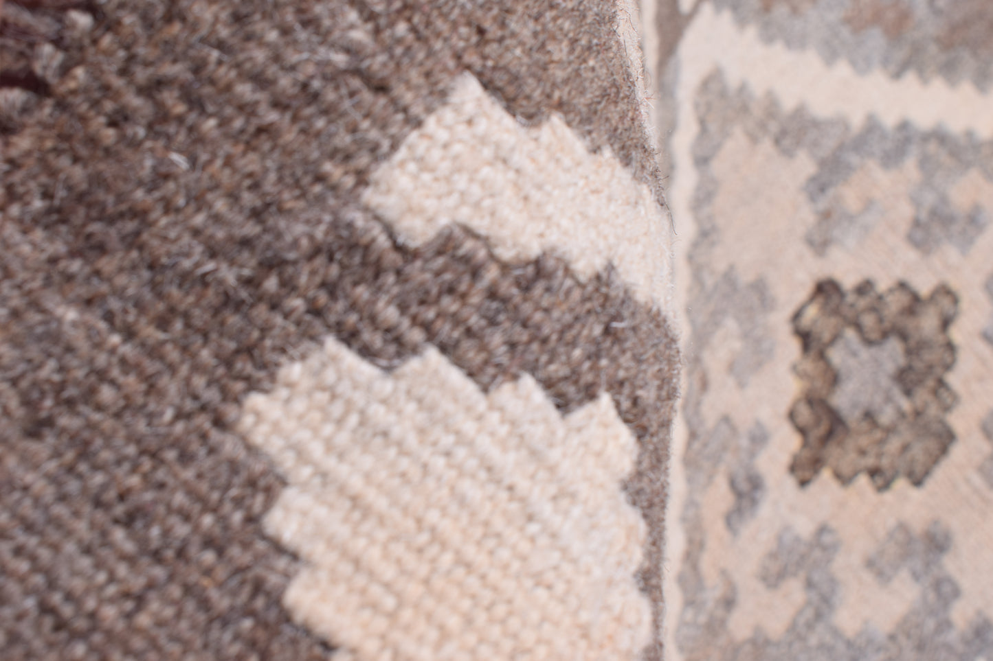 Agra Runner